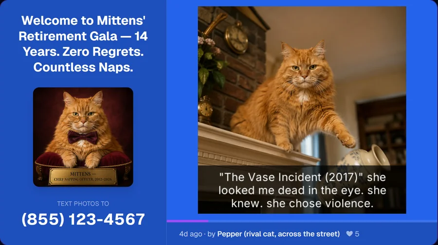 text2tv Party demo: a guest's photo and message displayed on a TV with the event phone number
