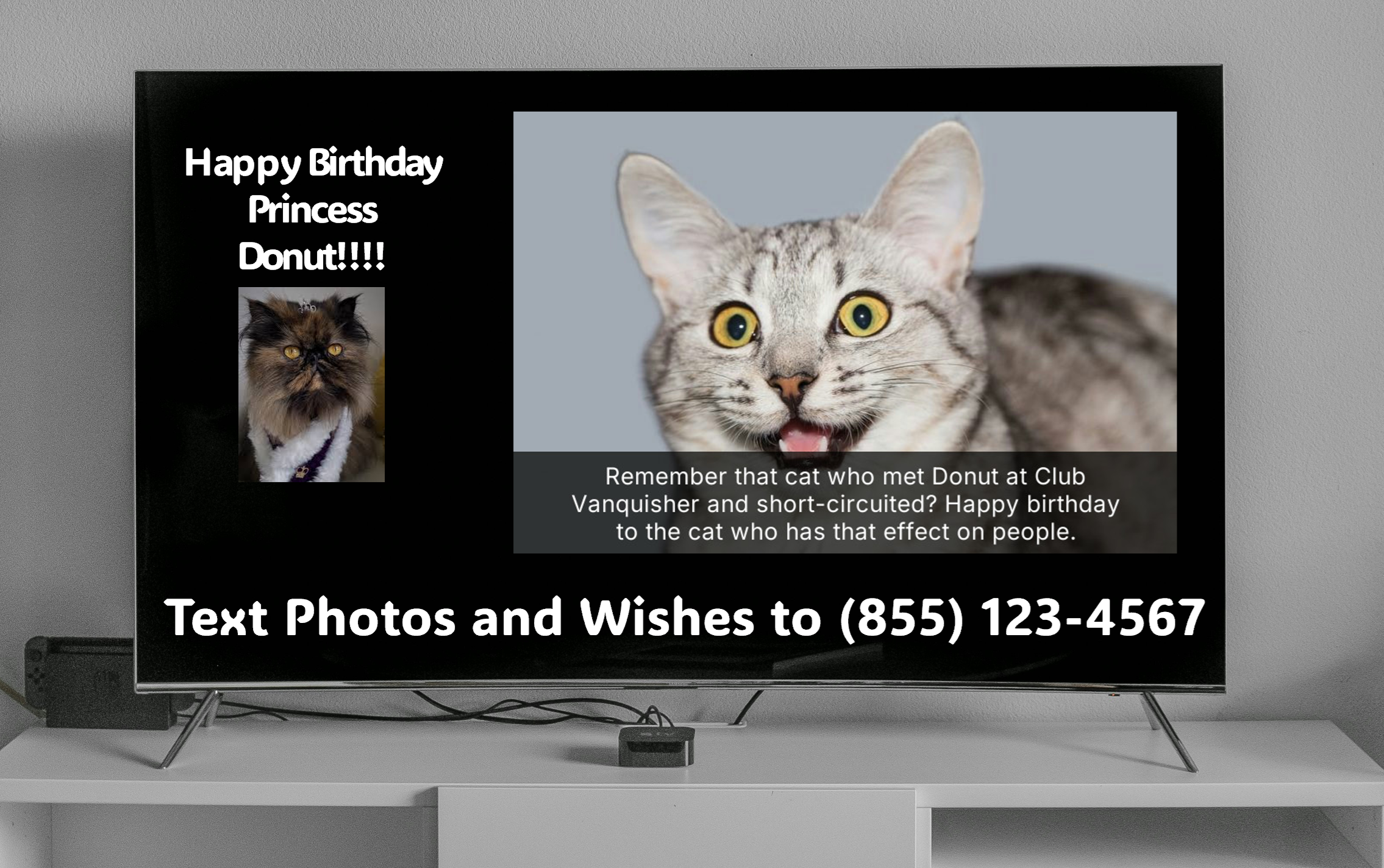 Princess Donut birthday on a TV preview