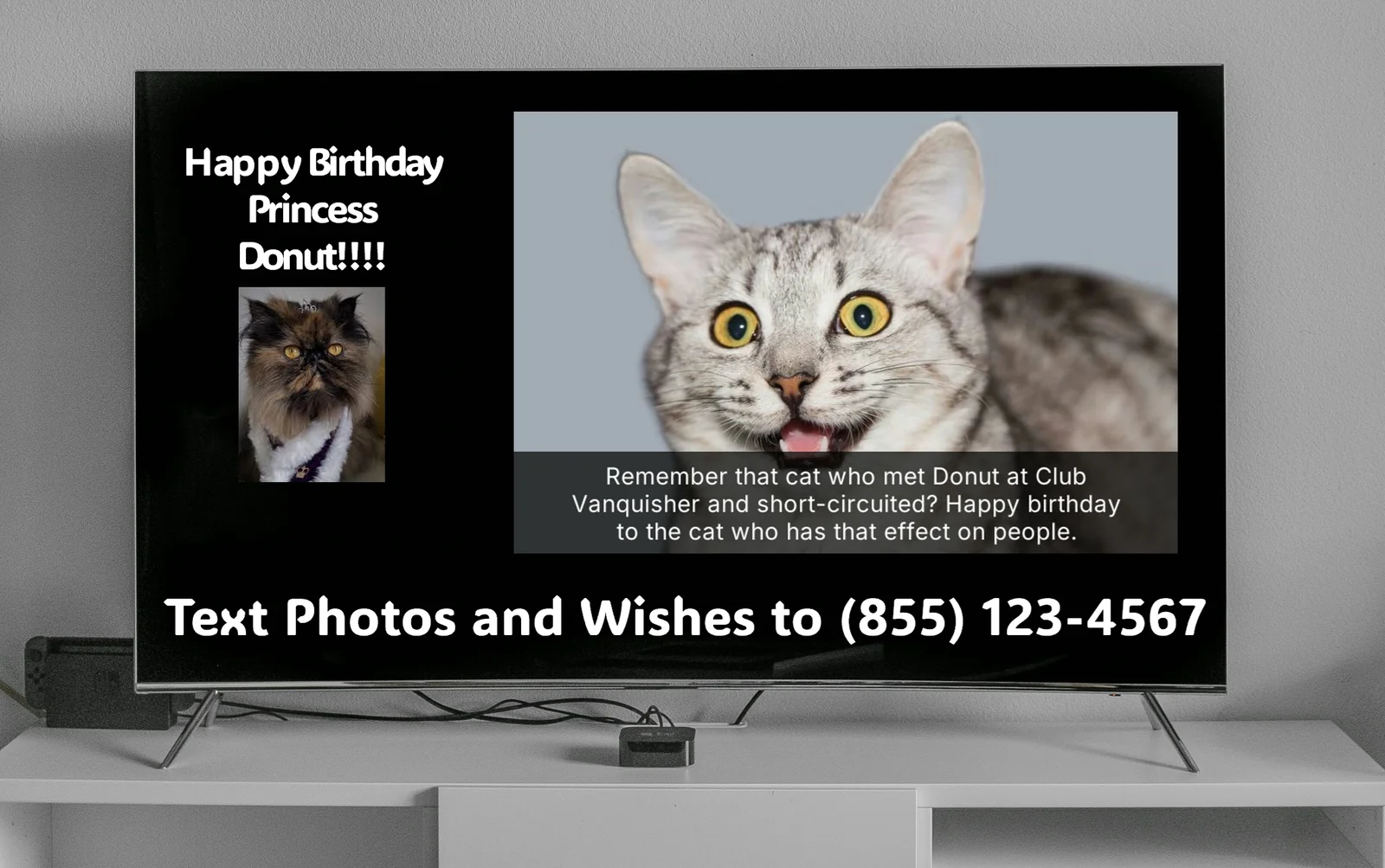 Princess Donut birthday on a TV preview